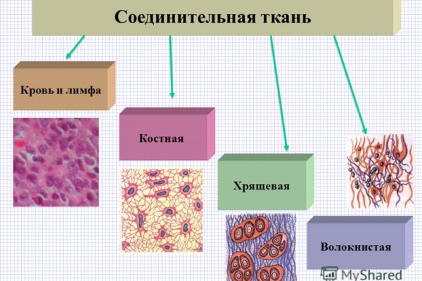Кракен тор что это