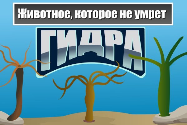 Ссылки на кракен маркетплейс тг