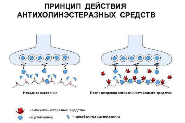 Кракен оф