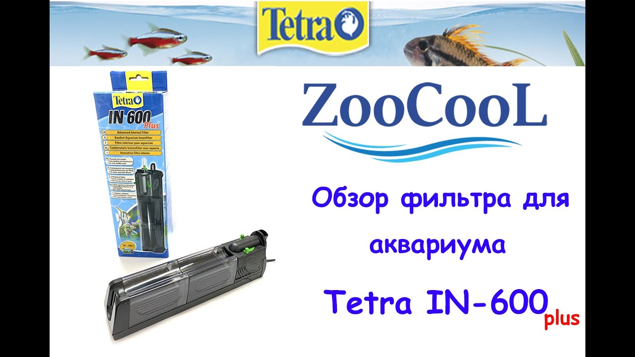 Ссылки тор браузер