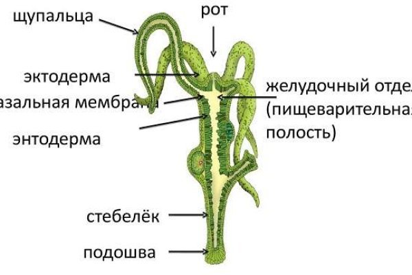 Ссылка на магазин кракен